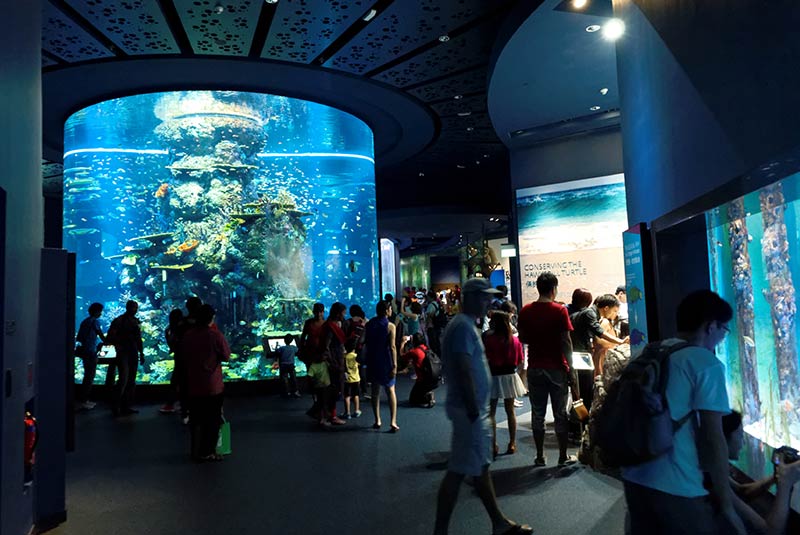 سی آکواریم سنگاپور، سفری هیجان انگیز به زندگی موجودات آبزی